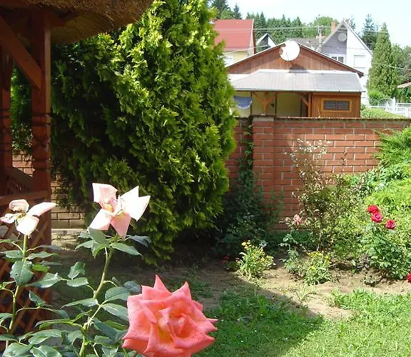 Rubin Apartamento